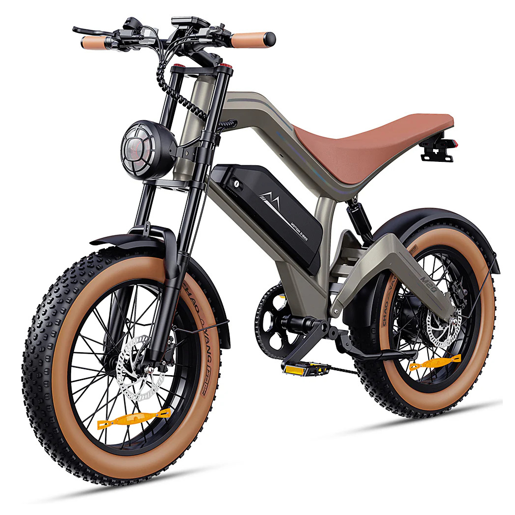 Zonveer M20 All-Terrain Long-Range Electric Bike